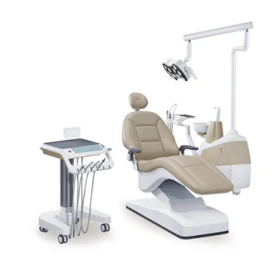 Sillón dental de alto nivel aprobado por Ce e ISO Productos dentales superiores/Precios de sillones dentales Belmont/Instrumentos dentales de ortodoncia