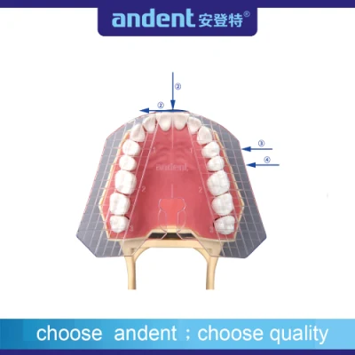 Herramientas auxiliares de medición de ortodoncia, placa de guía Dental para uso dentista